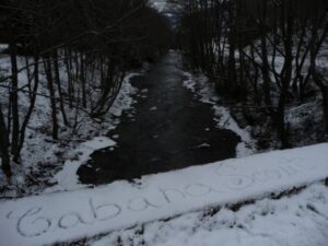 Cum a SCOUTocit Cabana…