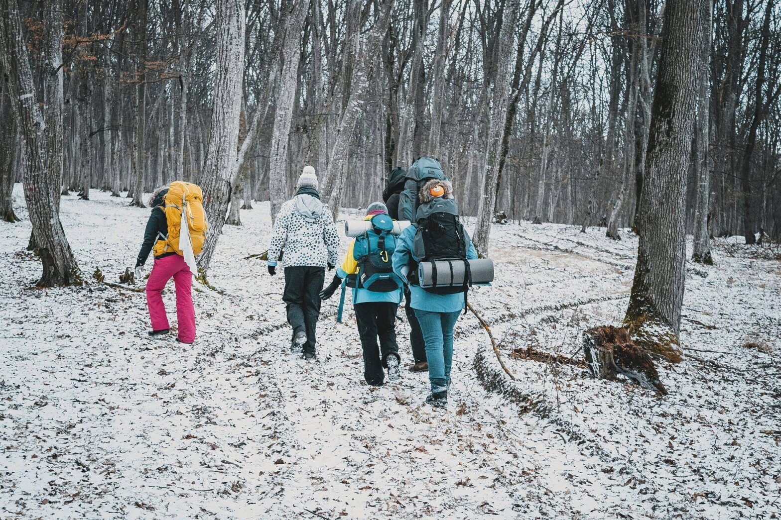 Hike-ul de iarnă de la Nocrich