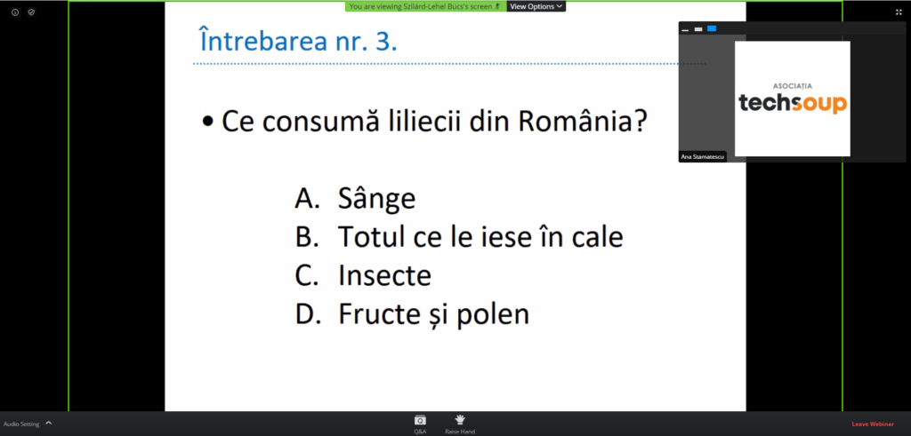 Prezentare despre lilieci